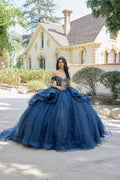 Layered Off-Shoulder Ball Gown with Floral Appliqué Quinceañera JTJT1501J-0